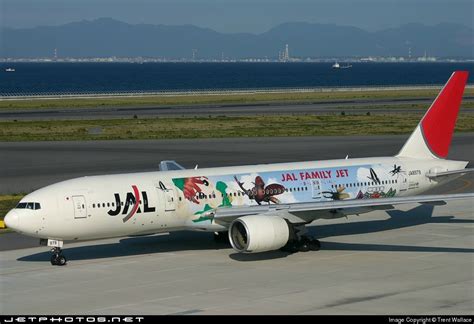 JAL-Japan Airlines Family Jet, Boeing 777-289 JA8979 aircraft, in old ...