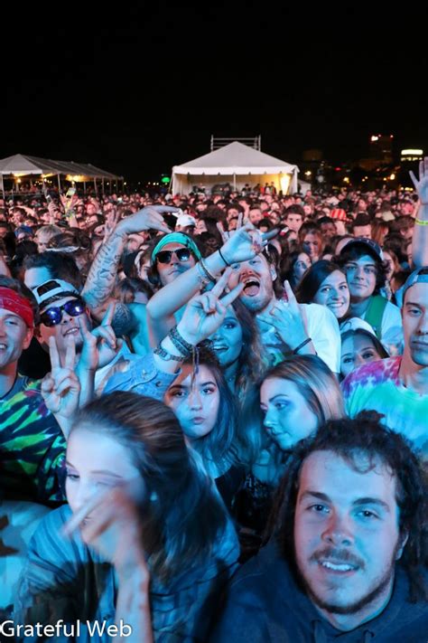 Beale Street Music Festival Turns 40 Years | Grateful Web