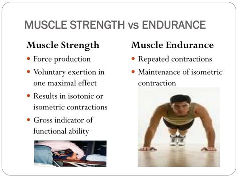 PPT - Muscle Strength Testing PowerPoint Presentation - ID:334515