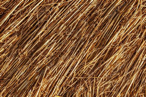 Wheat straw — Stock Photo © znyata #80979314