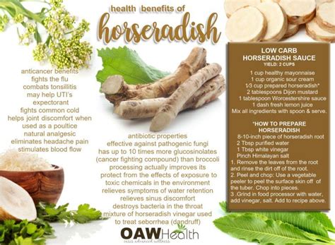 Horseradish - Powerful Benefits - OAWHealth | Horseradish benefits ...