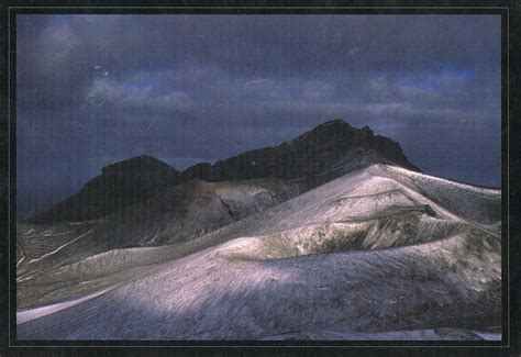 Postcards in my mailbox: Postcard from French Antarctic Territory