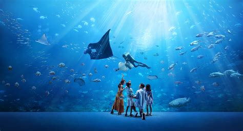 See The Wonders Beneath The Waves At S.E.A. Aquarium - Secret Singapore