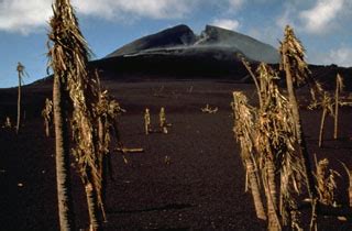 Global Volcanism Program | Pagan