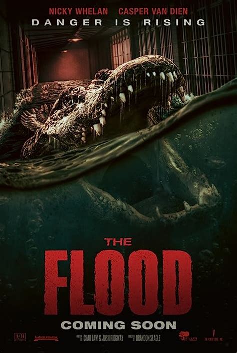 The.Flood.2023.1080p.AMZN.WEB-DL.DDP5.1.H.264-LouLaVie – 4.4 GB