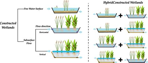 Scheme of constructed wetland types. | Download Scientific Diagram