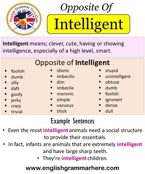 Opposite Of Bad, Antonyms of Bad, Meaning and Example Sentences ...