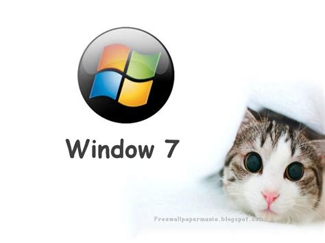 Windows 7 Wallpaper Cats - WallpaperSafari