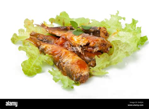 sardines in tomato sauce on white background Stock Photo - Alamy