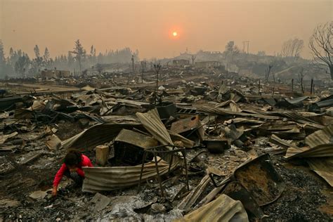 Chile Wildfires Declared a State of Emergency Photos - ABC News