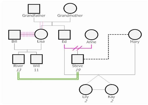 Genogram Template Microsoft Word in 2020 (With images) | Genogram template, Genogram example ...