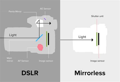 What's The Difference Between The Nikon Mirrorless Camera And The One With A Mirror? - Olson ...