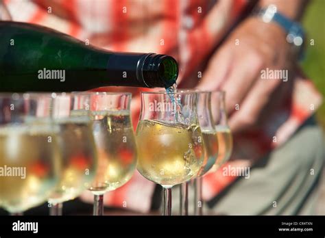 Riesling white wine being poured into wine glasses, Rheingau, Hesse, Germany, Europe Stock Photo ...
