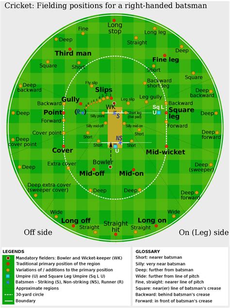 Cricket fielding positions : r/Infographics