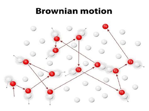 8 Brownian Motion Examples in Real Life – StudiousGuy