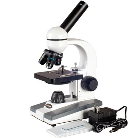 ️ Bright field compound microscope. The Compound Light Microscope. 2019-02-01