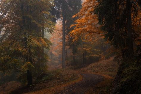 Earth Anthem | Dark autumn, Rainy photography, Autumn aesthetic