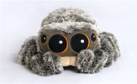 $800,000 Worth Of 'Lucas The Spider' Plushies Have Been Sold In 10 Days