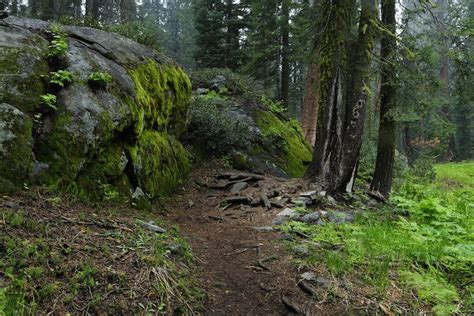 The 17 Best Hikes in Sequoia National Park - California Crossroads