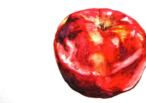 Apple Study 4 Original watercolor painting still life small