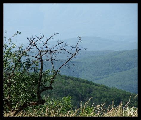 Ukraine - Landscapes - Traveling Rockhopper