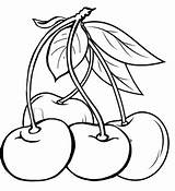 Cherry Coloring Cherries Printable Pairs Books Parentune Sketch  sketch template
