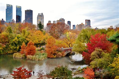 10 Best Places to See Foliage in Central Park - Untapped New York