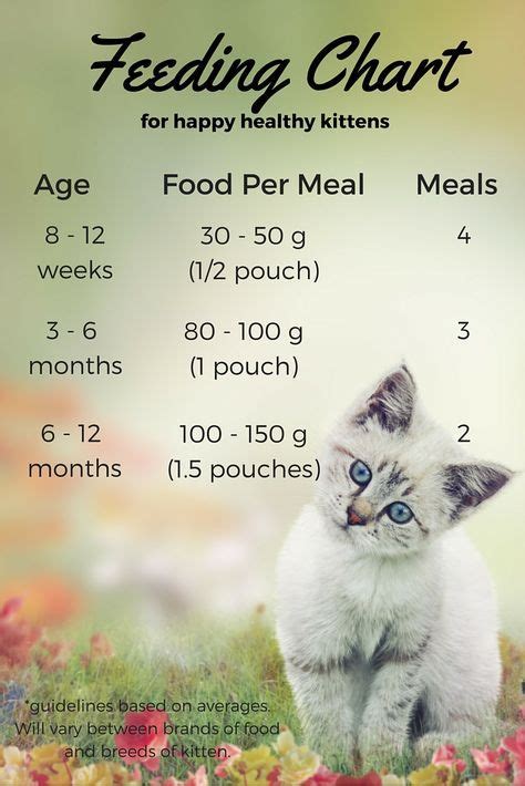 Feeding Your Kitten - Helpful Kitten Feeding Schedules and Charts ...