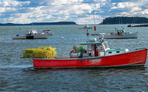 Chasing Lobsters The Lore Of Maine Lobster Boats