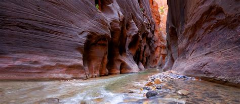 Five Interesting Facts about the Zion Narrows - Trust for Public Land