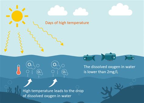 What is dissolved oxygen? - Apure