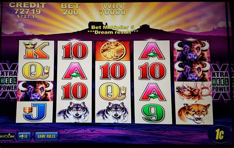 buffalo slot machine 700 win - i put my life on a shelf