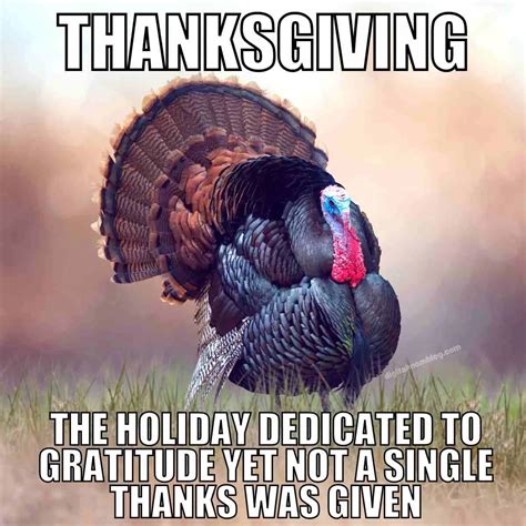 Funny Thanksgiving Memes Laughs To Celebrate Turkey Day