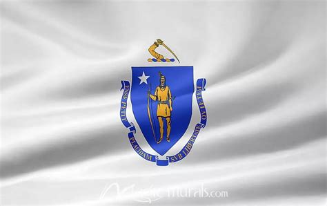 Massachusetts State Flag Wallpaper Mural by Magic Murals