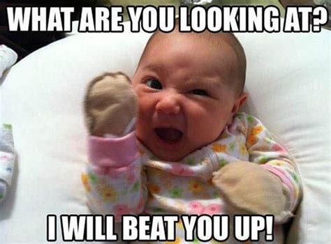 13 Hilarious Baby Memes That Will Brighten Up Your Day