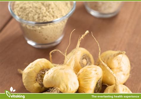 Maca Root Powder And It’s Long List Of Health Benefits