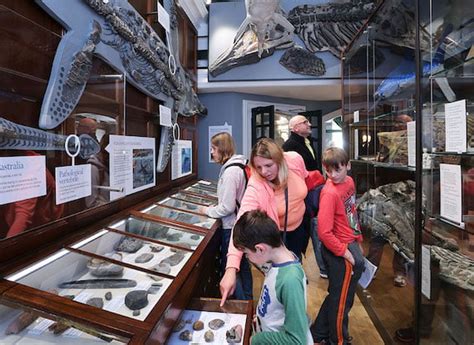 Lyme Regis Museum Reopening in September | Events Publicity