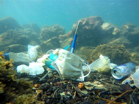 Plastic pollution: Covid waste may result in "more masks than jellyfish" in the sea | CNN