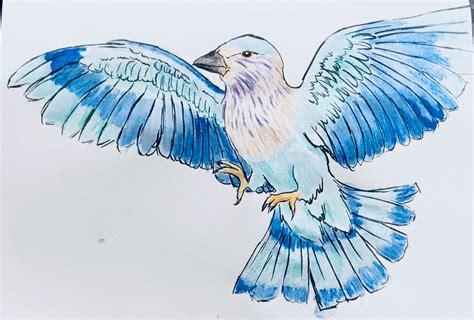 An Indian Roller. #mightcoulddrawtoday #birds #watercolor #drawing ...