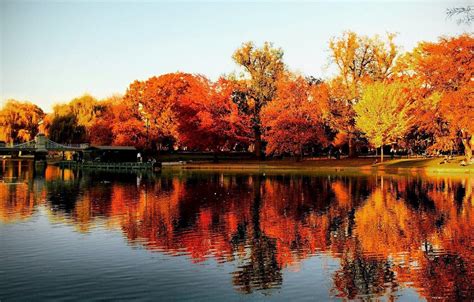 Boston Fall Wallpapers - Top Free Boston Fall Backgrounds - WallpaperAccess