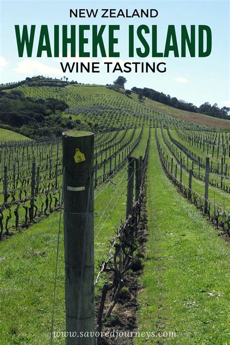 Your Guide to New Zealand's Waiheke Island Wineries | Savored Journeys