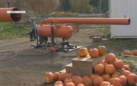 The Great Pumpkin Cannon - Okanagan | Globalnews.ca