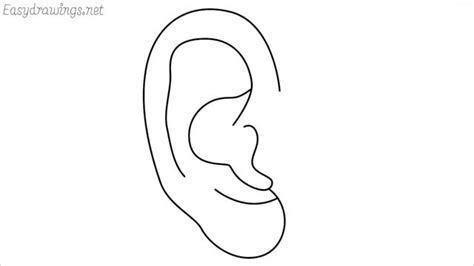 How to draw an Ear step by step - Easydrawings.net | How to make drawing, How to draw ears, Drawings