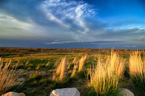 Methods for Growing Grass in the Desert in Your Own Backyard