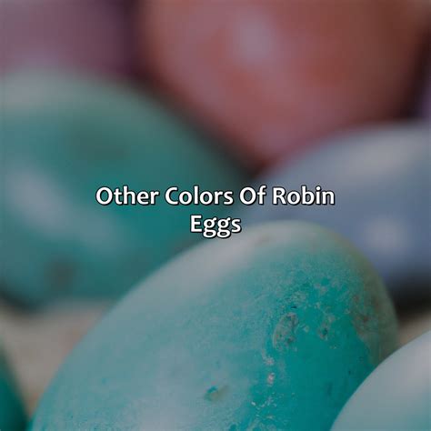 What Color Are Robin Eggs - colorscombo.com