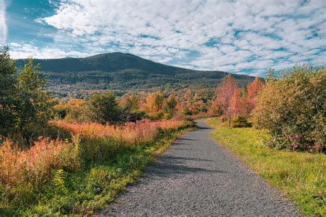 Mount Greylock State Reservation