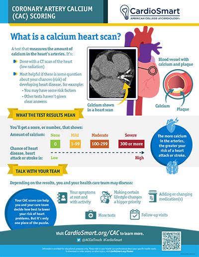 Coronary Artery Calcium (CAC) Scoring – Infographic | CardioSmart ...