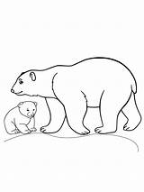 Bear And Cub Arctic Animals Coloring Page  Free Printable sketch template