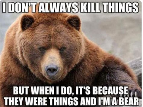 Pin by April Daniel on Humor | Funny bears, Bear, Funny animal pictures