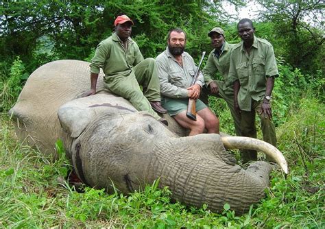 [Name and Shame] These African countries allow the killing of animals for fun - Face2Face Africa